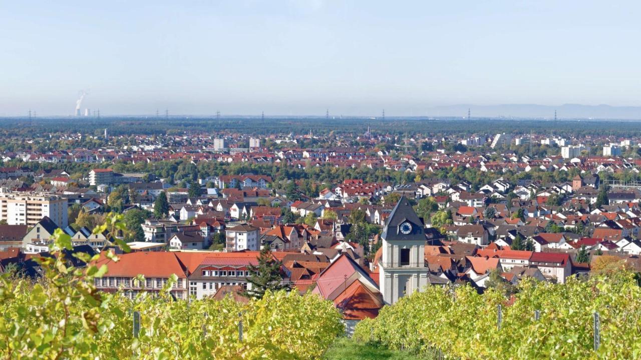 Grosse Ferienwohnung, Apartment In Leimen Wehome Komfort エクステリア 写真