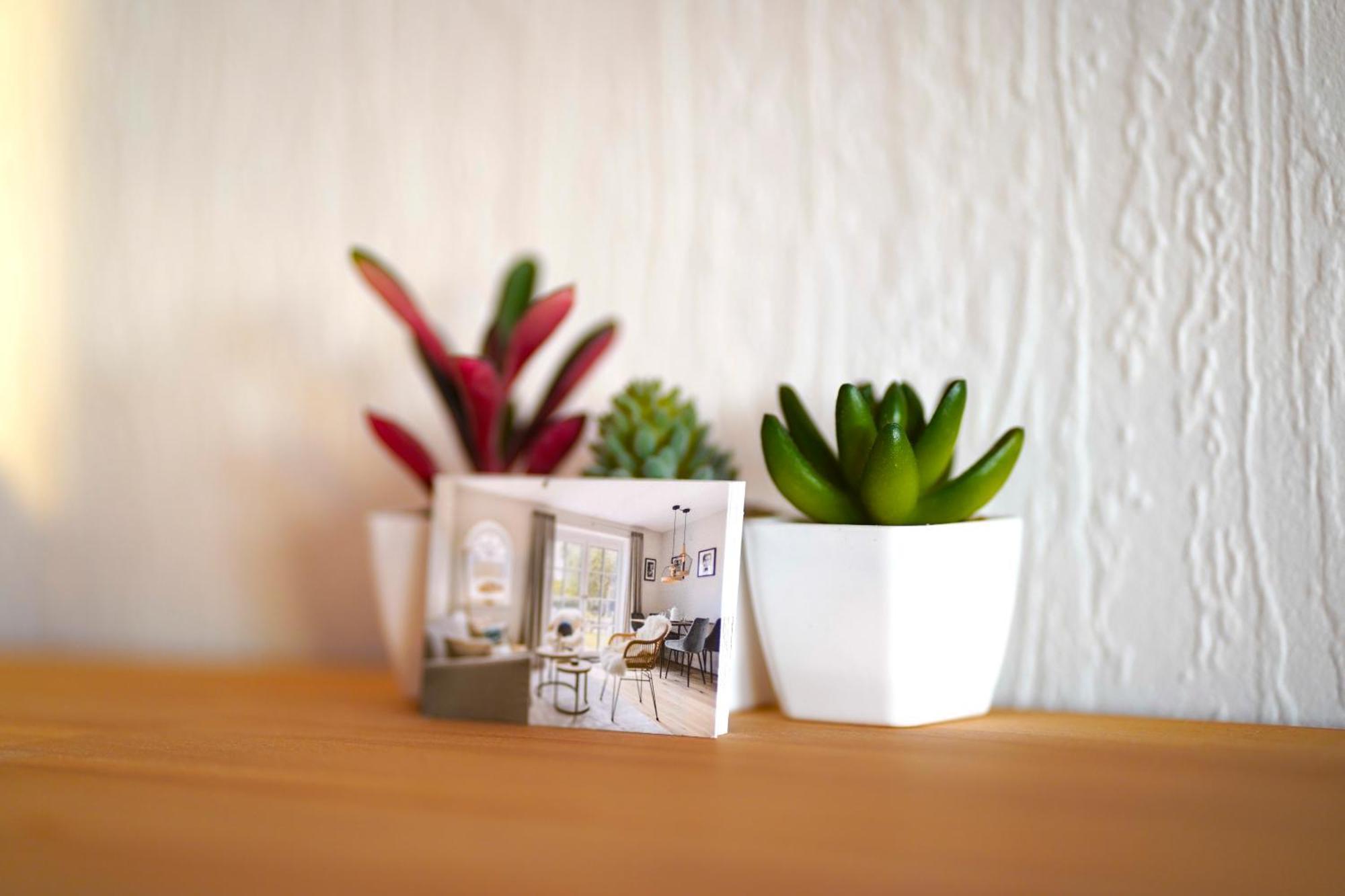 Grosse Ferienwohnung, Apartment In Leimen Wehome Komfort エクステリア 写真