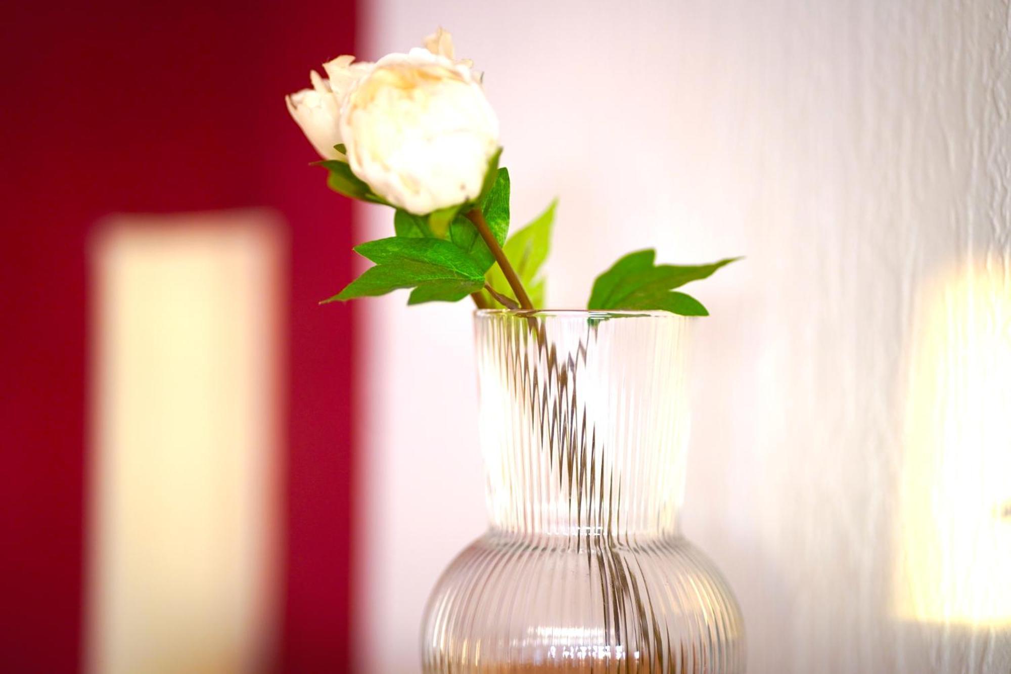 Grosse Ferienwohnung, Apartment In Leimen Wehome Komfort エクステリア 写真