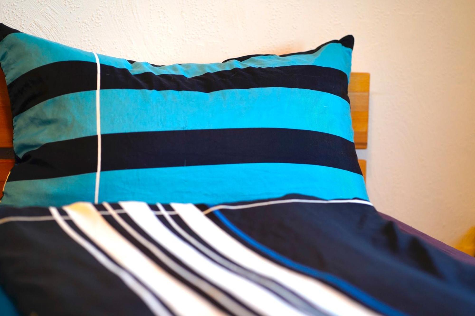 Grosse Ferienwohnung, Apartment In Leimen Wehome Komfort エクステリア 写真